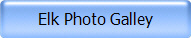 Elk Photo Galley
