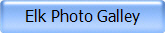 Elk Photo Galley